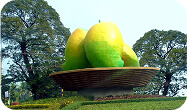 রাজশাহী